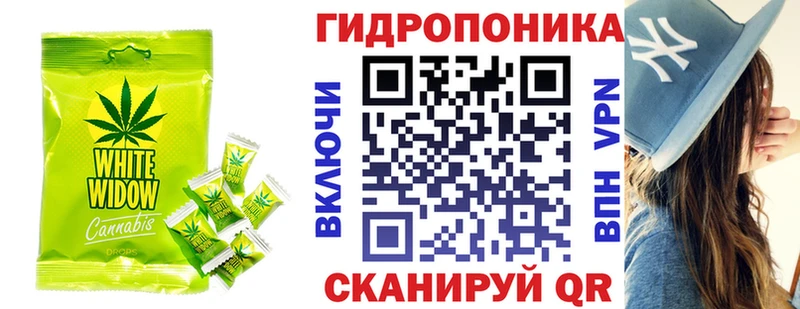 ОМГ ОМГ ТОР  где найти   Курганинск  Еда ТГК конопля 
