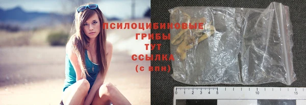 эйфоретик Алзамай