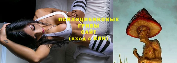 мяу мяу мука Алексин