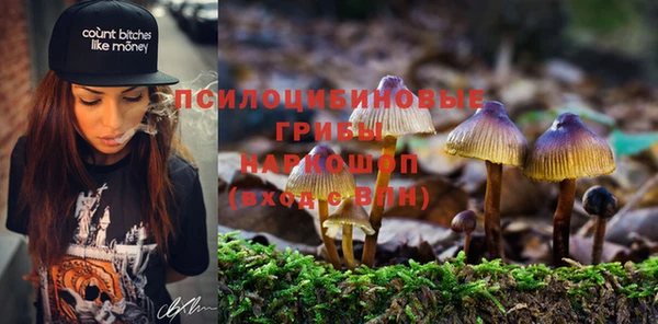мяу мяу мука Алексин