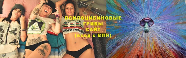 крисы Зерноград
