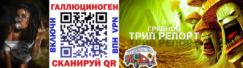 Псилоцибиновые грибы Cubensis  Курганинск 